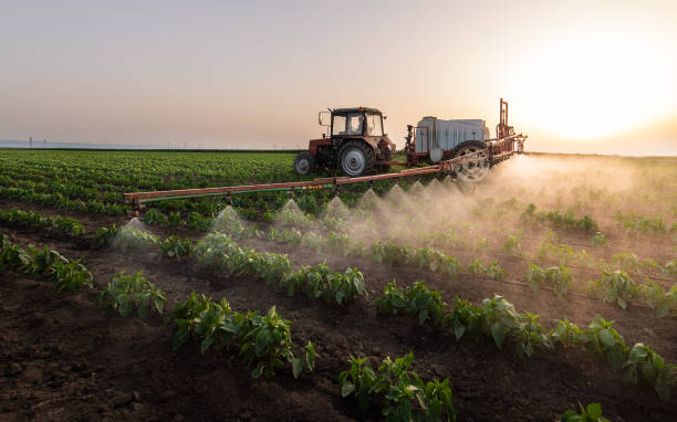 Insect Control in Commerce, CA